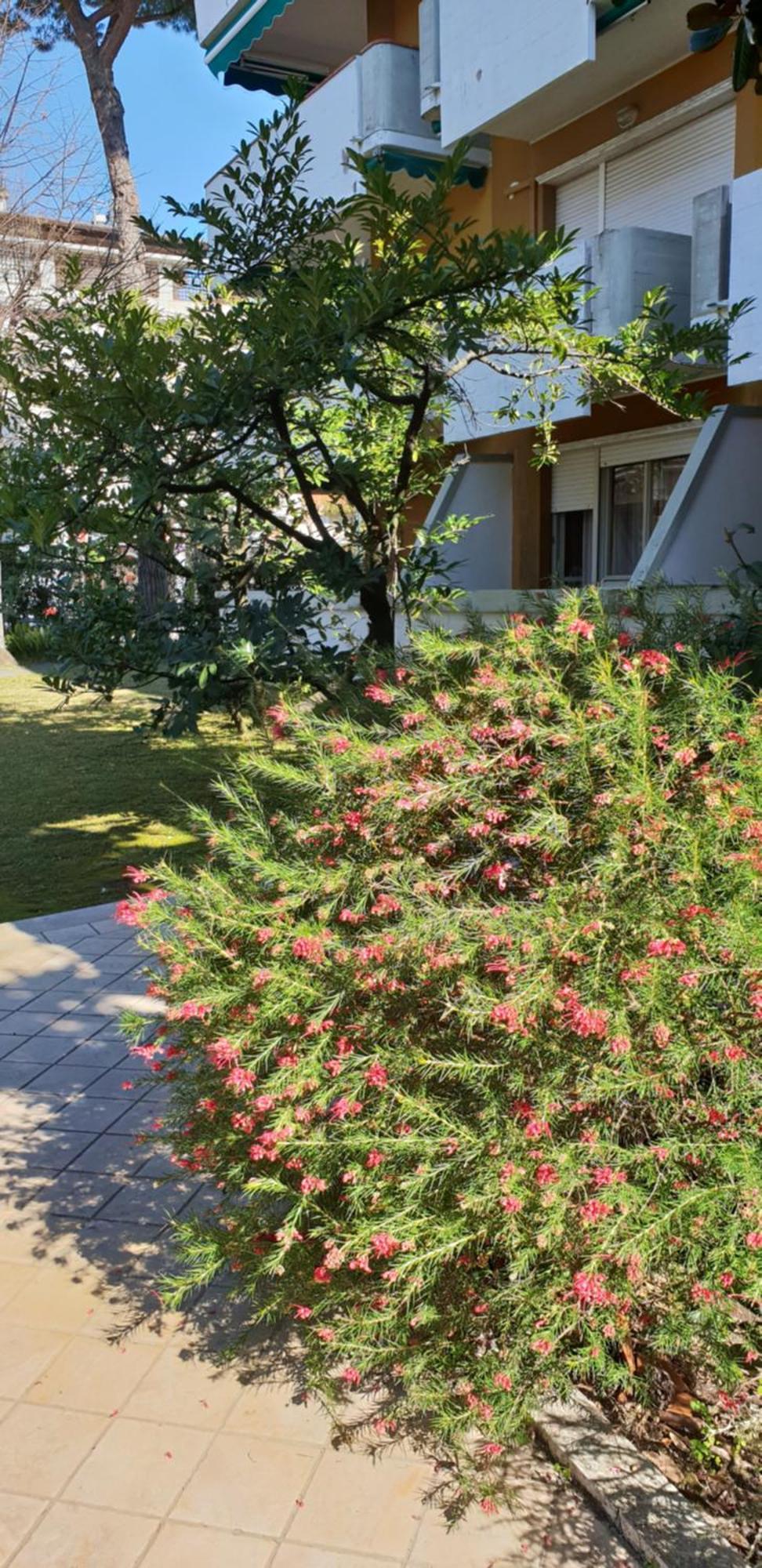Versilia Apartment 포르데데이마르미 외부 사진