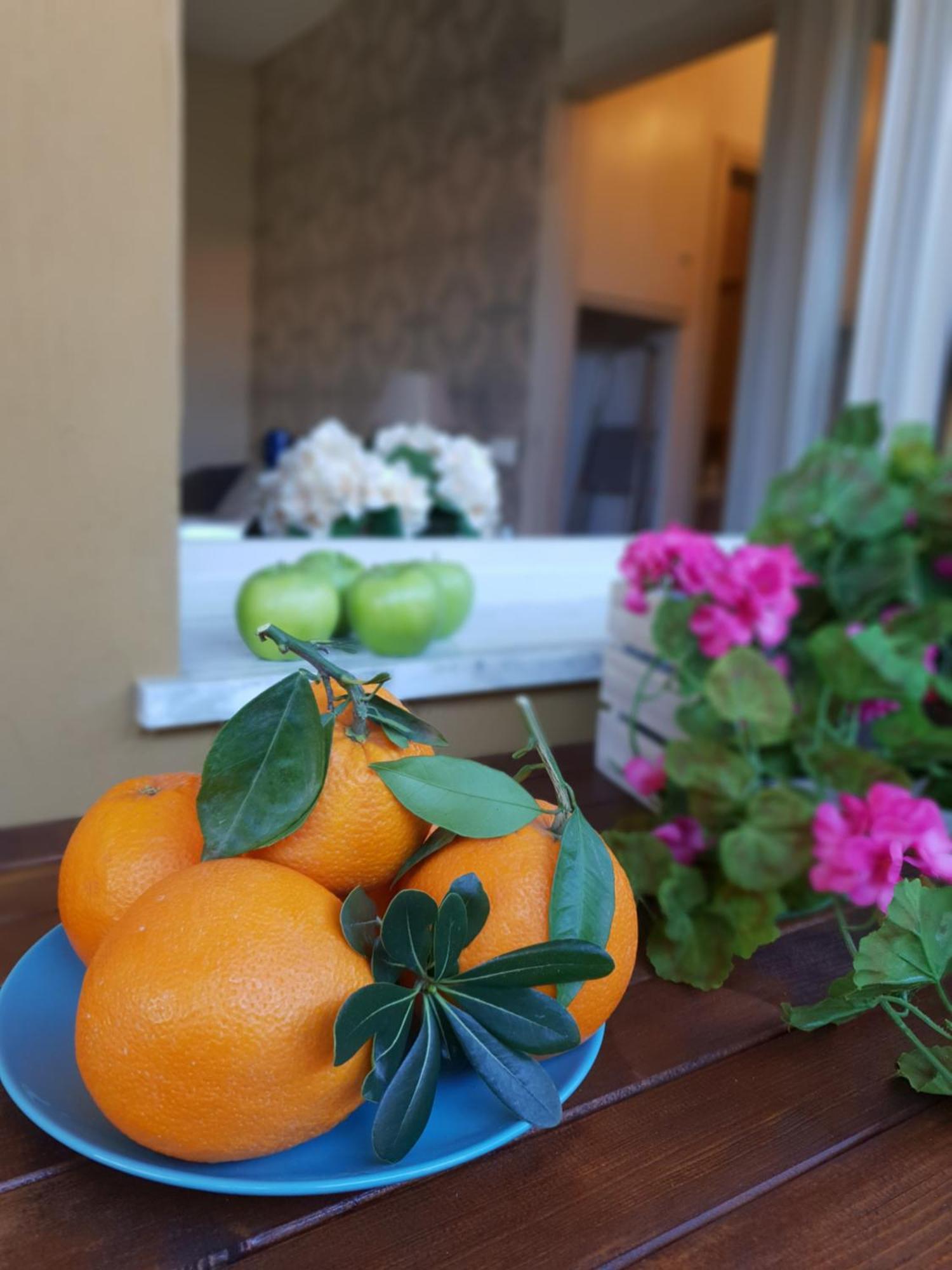 Versilia Apartment 포르데데이마르미 외부 사진